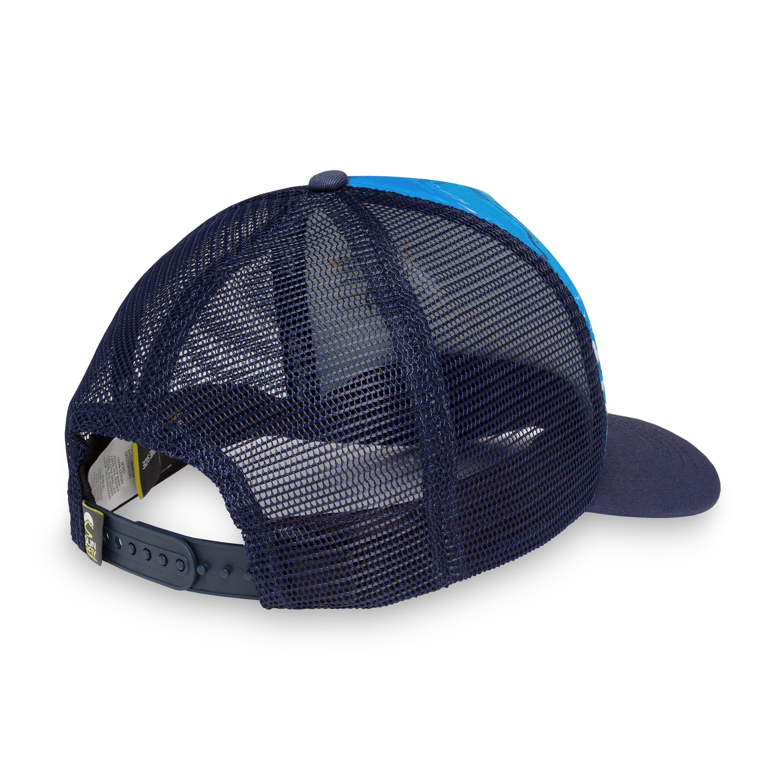 Into the Blue Trucker D4
